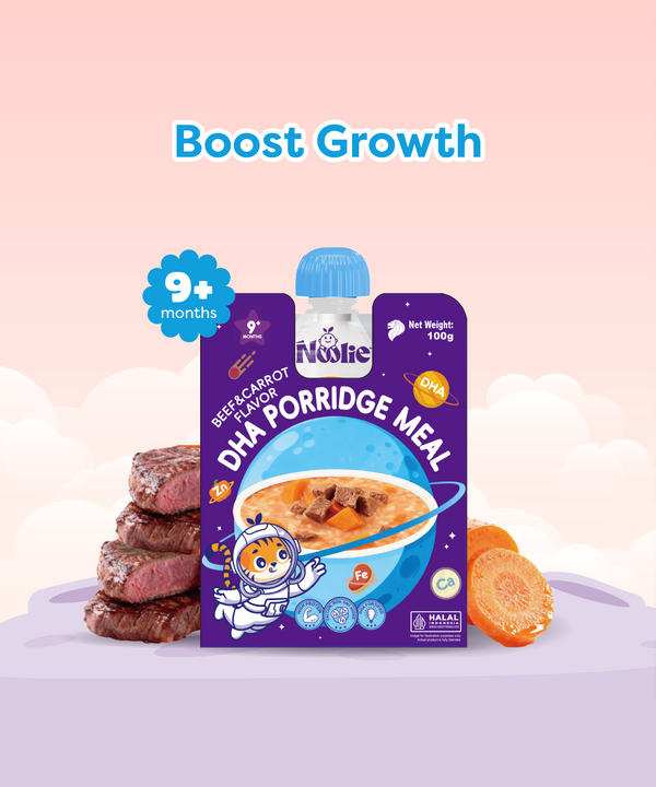 DHA Porridge Meal Beef & Carrot