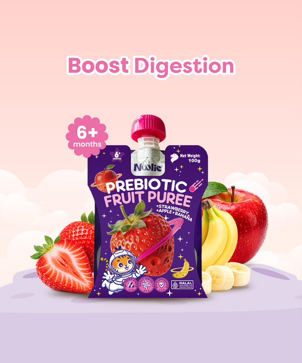 Noolie® Prebiotic Fruit Puree (Strawberry, Apple, Banana)