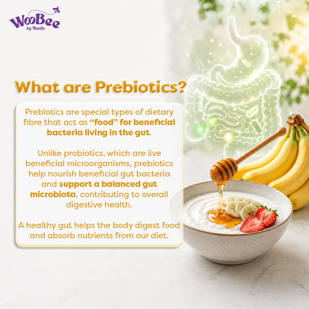 WooBee Prebiotic Honey (Longan Honey with Prebiotic)